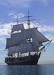 Tall Ship's picture